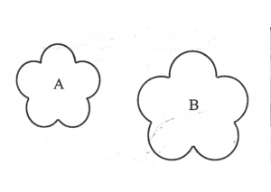 blossom 5p set of 2 - 145